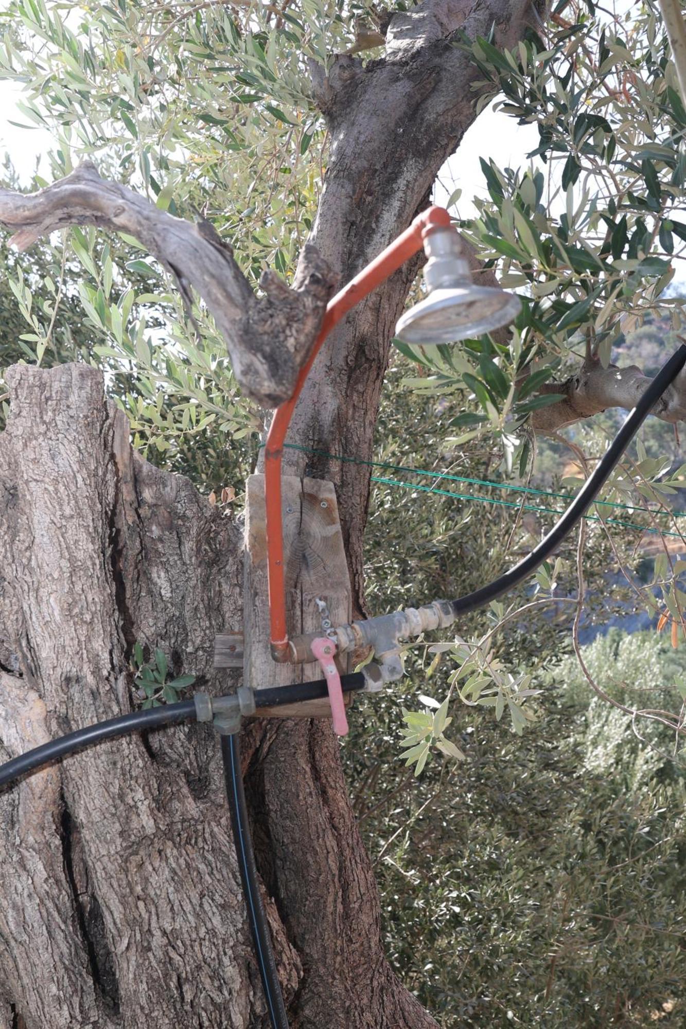 Δωμάτια Κόκκινος Πύργος Πλωμάρι Εξωτερικό φωτογραφία