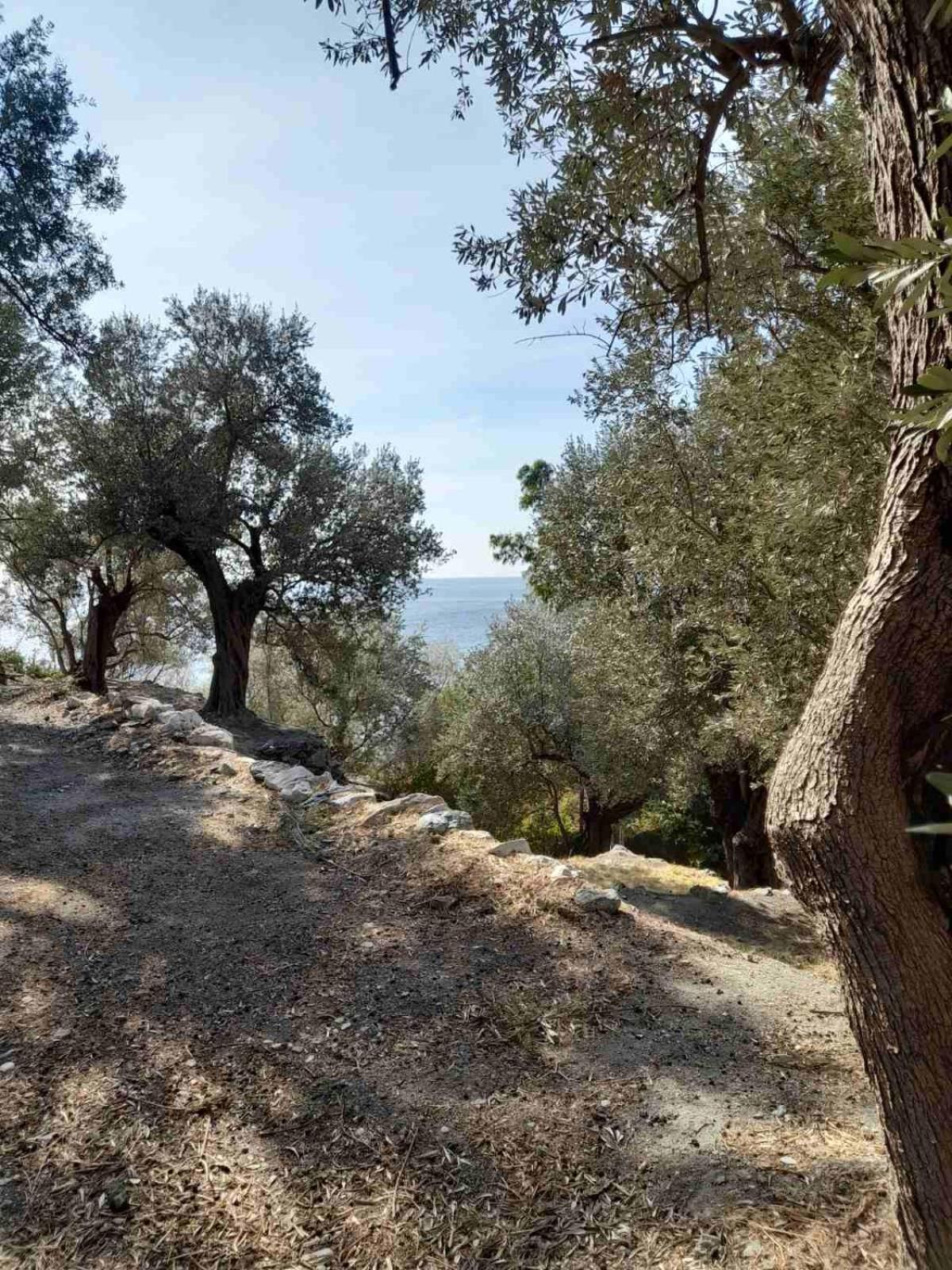 Δωμάτια Κόκκινος Πύργος Πλωμάρι Εξωτερικό φωτογραφία